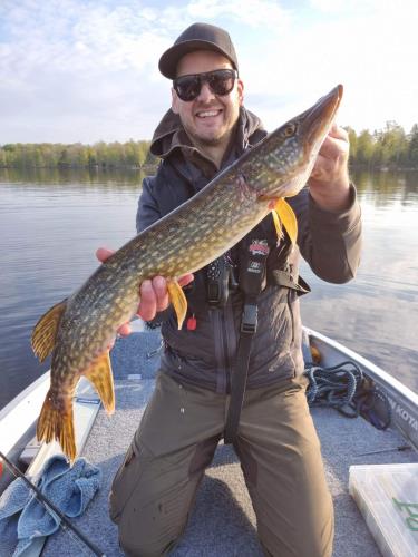 A picture of a Pike, caught by Hegge at 2023-05-14 07:04:19. The lure was a Jig (Pike Softbait) from CWC. A picture of a Pike, caught by Hegge at 2023-05-14 07:04:19. The lure was a Jig (Pike Softbait) from CWC.
